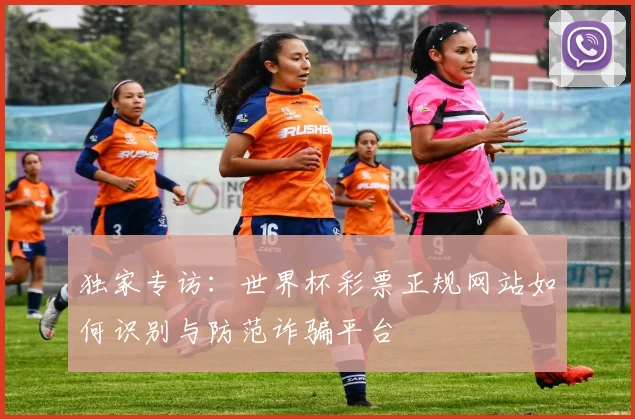 独家专访：世界杯彩票正规网站如何识别与防范诈骗平台