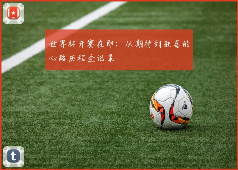 世界杯开赛在即：从期待到狂喜的心路历程全记录