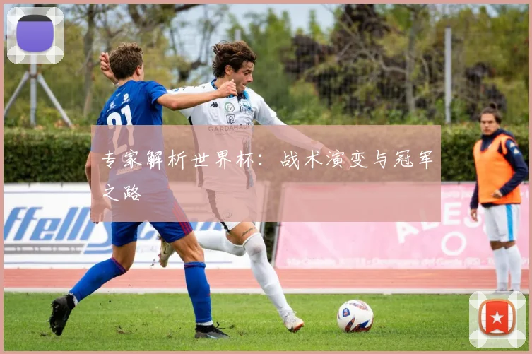 专家解析世界杯：战术演变与冠军之路